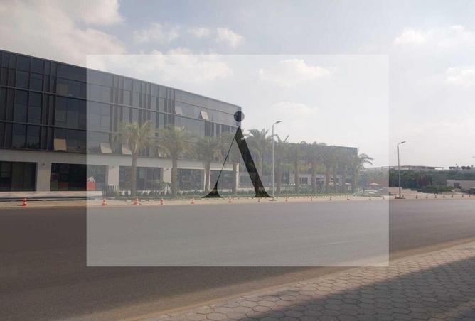 8006115 - Property Image 3