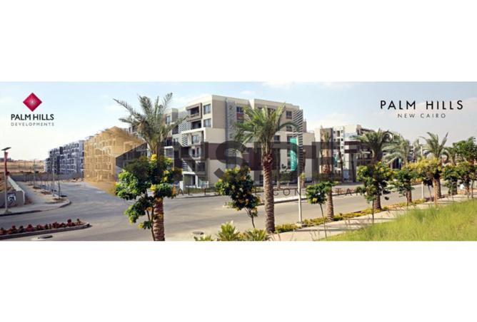 7917978 - Property Image 3