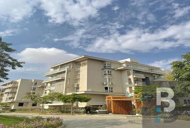 8016513 - Property Image 2