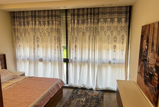 8244241 - Property Image 3