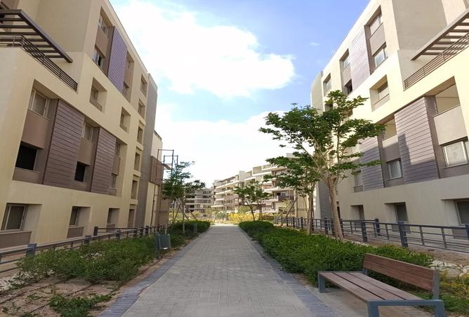 7990453 - Property Image 3