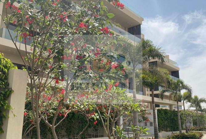 8163109 - صورة العقار 2