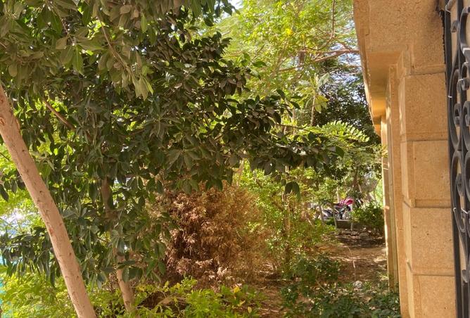 8432668 - صورة العقار 3