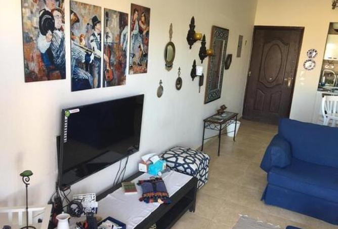 8340030 - Property Image 3