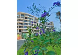 Apartment - 2 Bedrooms - 2 Bathrooms for sale in Armonia - New Capital Compounds - New Capital City - Cairo