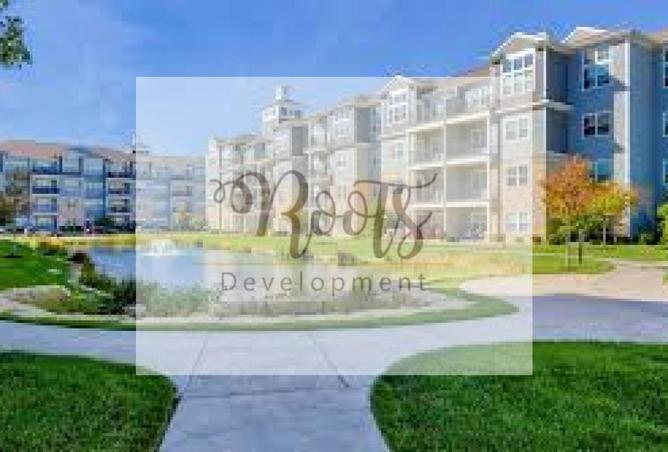 8081711 - Property Image 3