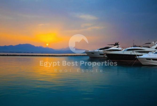 7884575 - Property Image 2