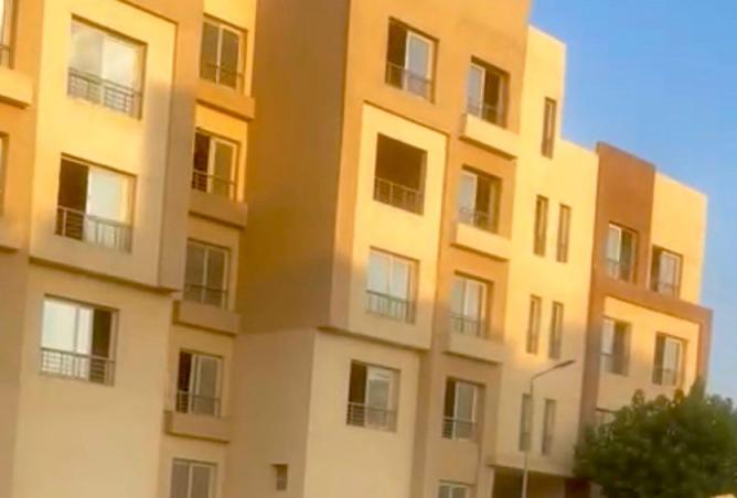 8357054 - Property Image 3