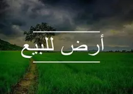 قطعة أرض - استوديو للبيع في شارع ال ٩٠ الجنوبي - شارع التسعين الجنوبي - التجمع الخامس - مدينة القاهرة الجديدة - القاهرة