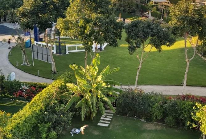 8465812 - صورة العقار 3