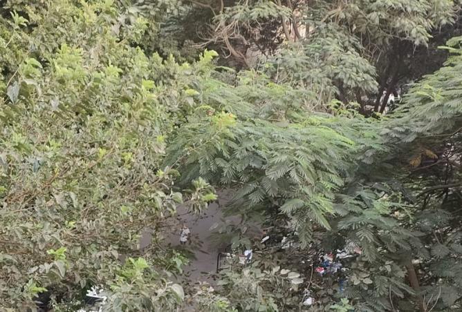 7947864 - صورة العقار 2