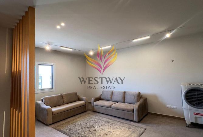 7931351 - Property Image 3