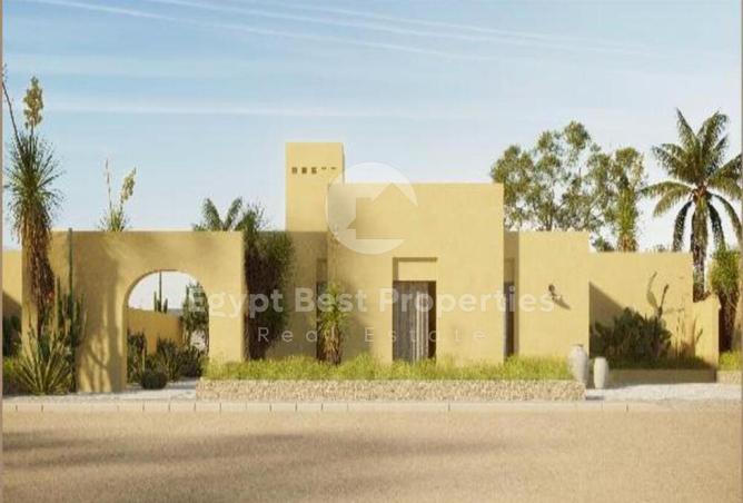 8117418 - Property Image 2