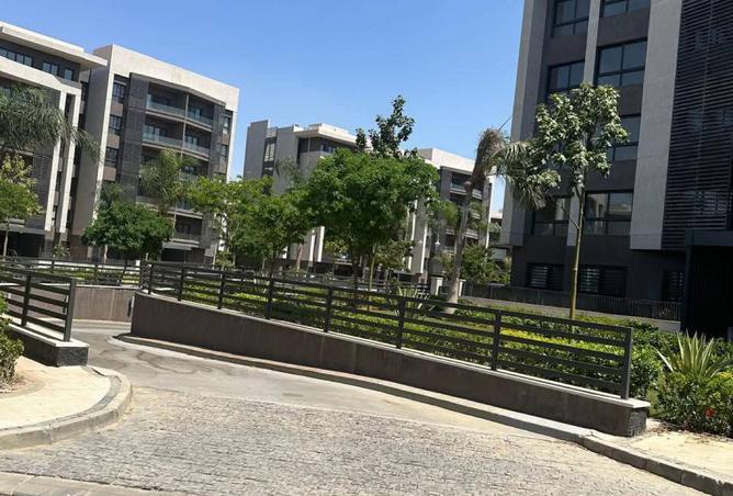 7894760 - Property Image 3