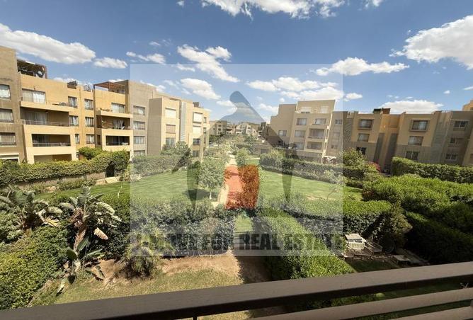 7981079 - صورة العقار 3