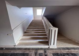 Penthouse - 3 bedrooms - 4 bathrooms for للايجار in Bamboo Palm Hills - 26th of July Corridor - 6 October City - Giza