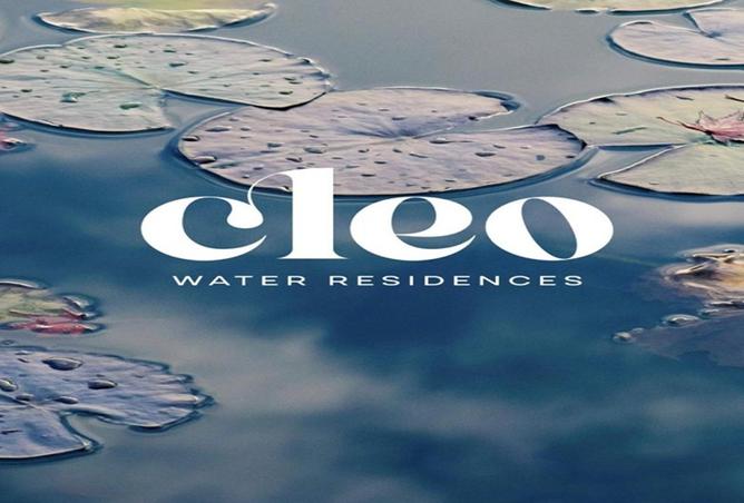 8269215 - Property Image 3