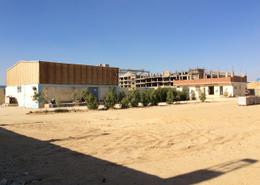 Factory - 3 bathrooms for للبيع in Industrial Area - 6 October City - Giza