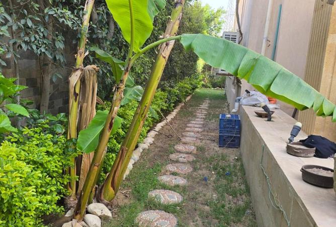 7965246 - صورة العقار 3