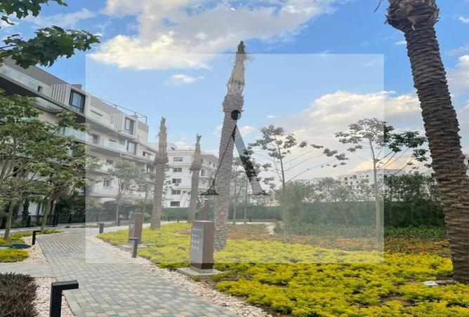 8057944 - صورة العقار 2