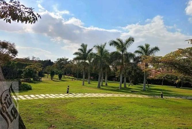 8280868 - Property Image 2