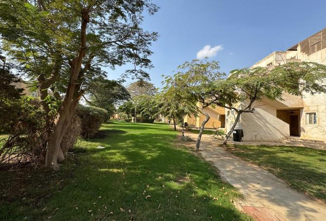 8222907 - Property Image 3