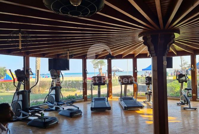 8441702 - Property Image 3