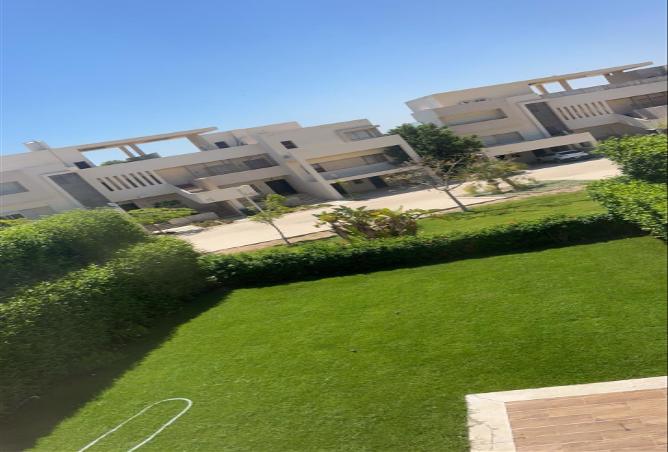 7969234 - صورة العقار 3