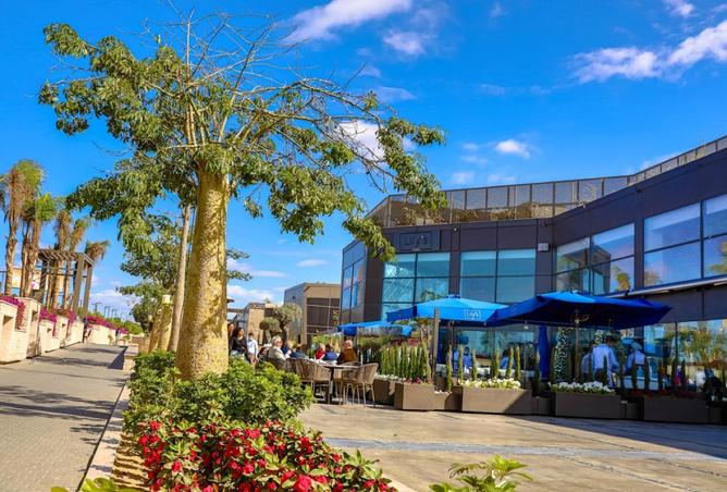 8175559 - الصورة الرئيسية للعقار