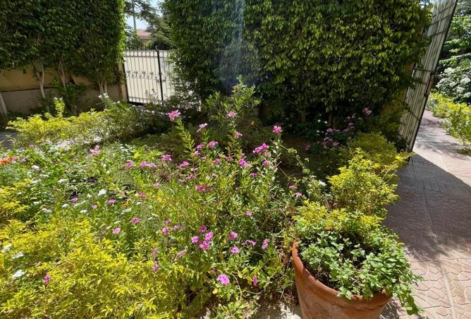 8224058 - صورة العقار 2