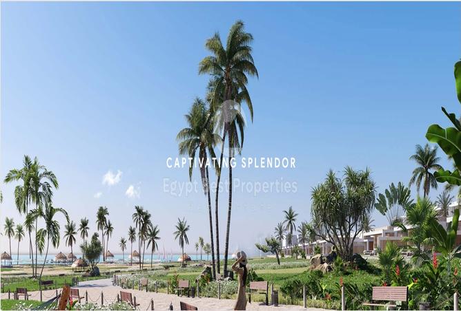 7993926 - Property Image 3
