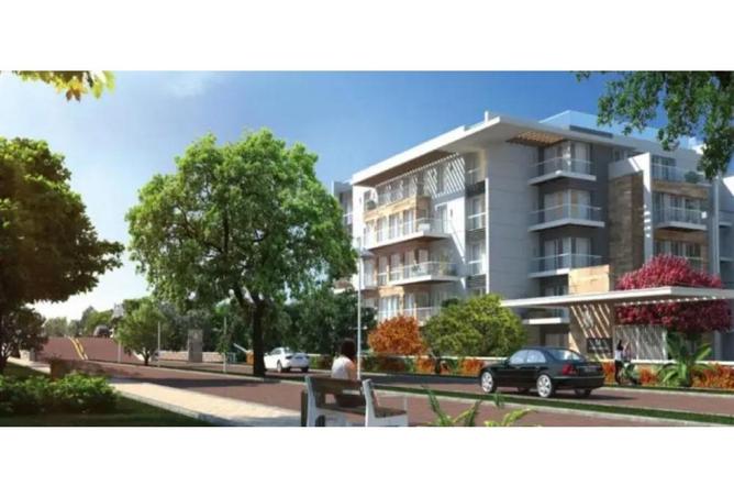 8174609 - صورة العقار 2