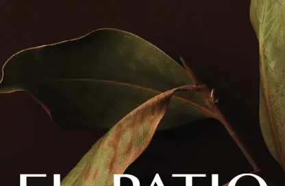 منزل مزدوج - 4 غرف نوم - 4 حمامات للبيع في الباتيو اورو - كمبوندات التجمع الخامس - التجمع الخامس - مدينة القاهرة الجديدة - القاهرة