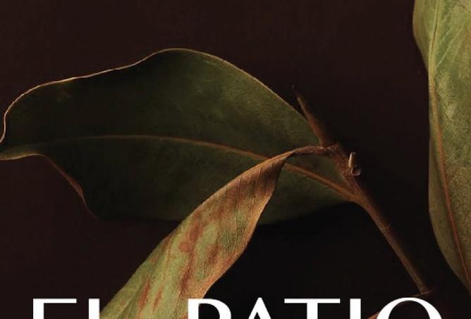 8544947 - الصورة الرئيسية للعقار