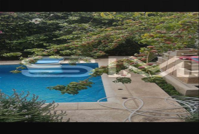 7985463 - صورة العقار 3
