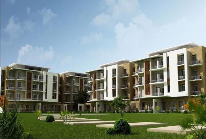 8431063 - Property Image 2