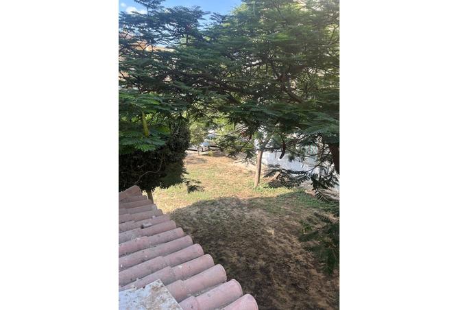 8184468 - Property Image 2