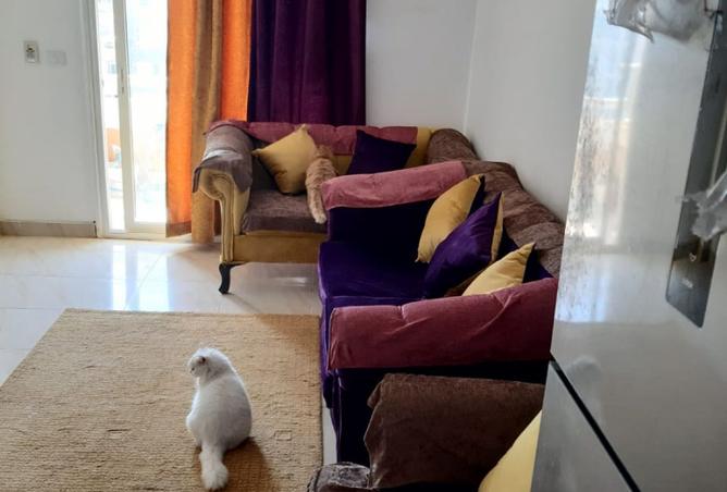 7985928 - صورة العقار 2