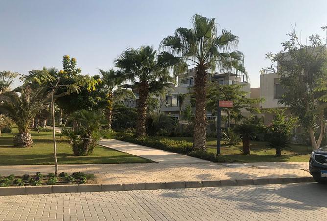 7999346 - صورة العقار 3