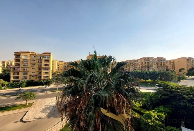 8062515 - صورة العقار 2