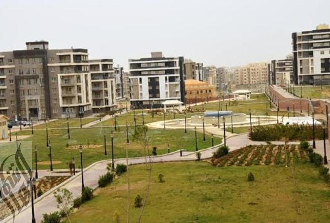 8286167 - Property Image 2