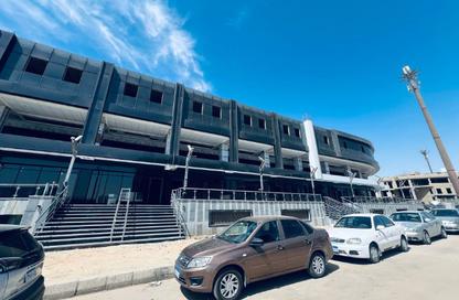 Whole Building - Studio - 1 Bathroom for rent in Bank Center Street - South Teseen St. - The 5th Settlement - New Cairo City - Cairo