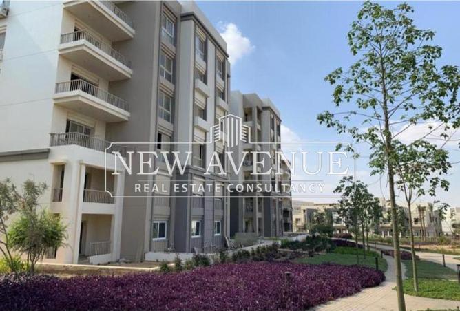 8312477 - Property Image 2