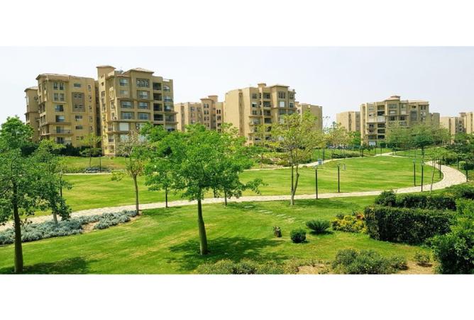 8187495 - الصورة الرئيسية للعقار