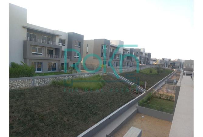 8380025 - Property Image 3