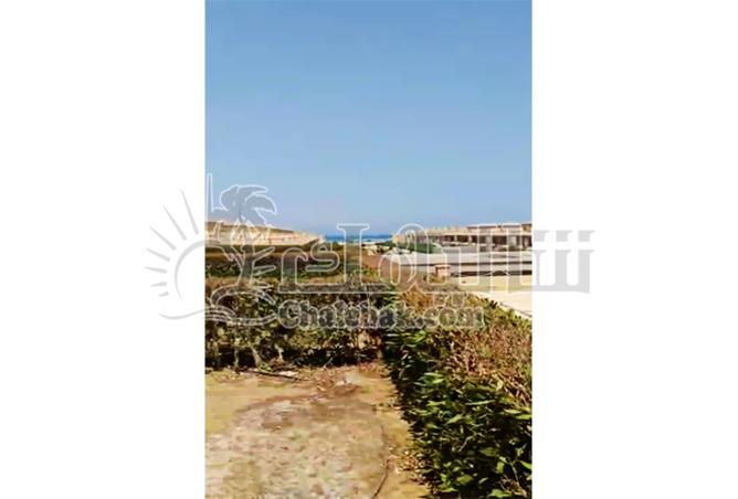 8385698 - الصورة الرئيسية للعقار