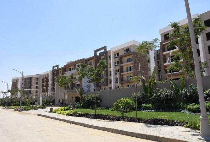 8398485 - صورة العقار 2