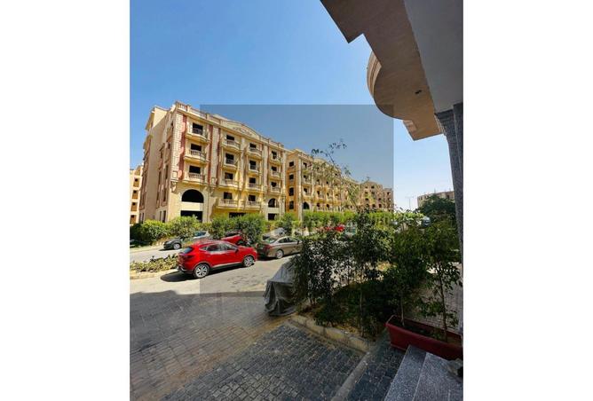 7977784 - صورة العقار 3