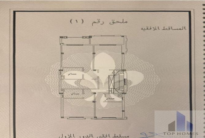 8282239 - Property Image 3