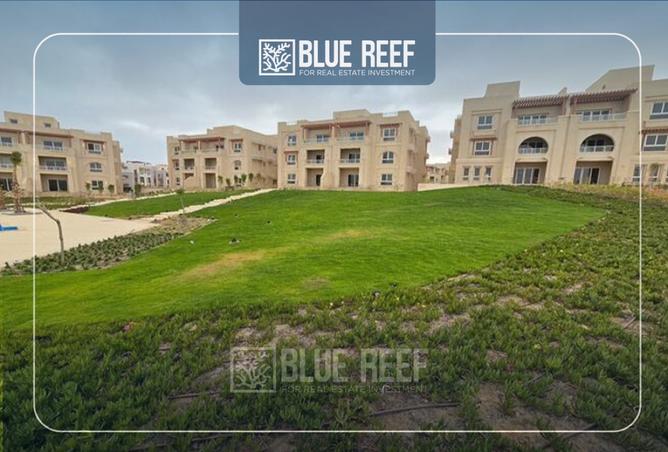 8259320 - Property Image 3